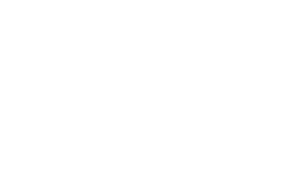 kaleo 2